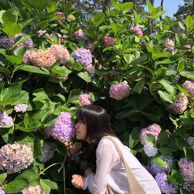 하t 프로필