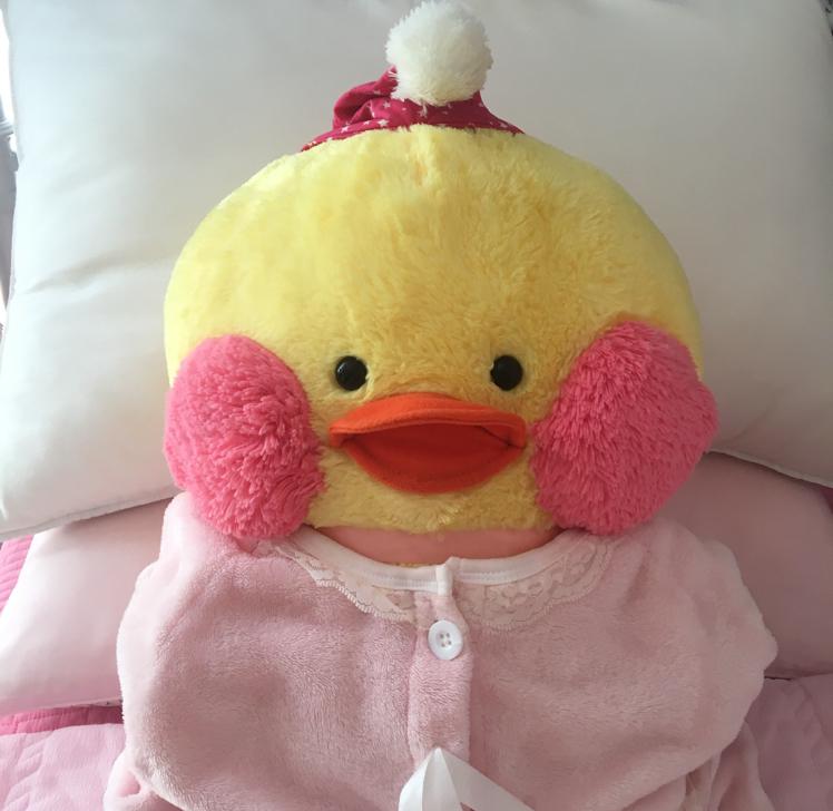 읭쉐 프로필