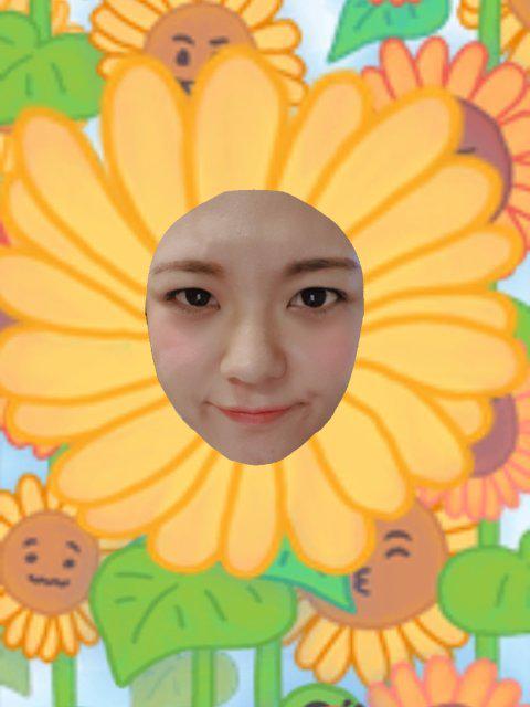 화뚱 프로필