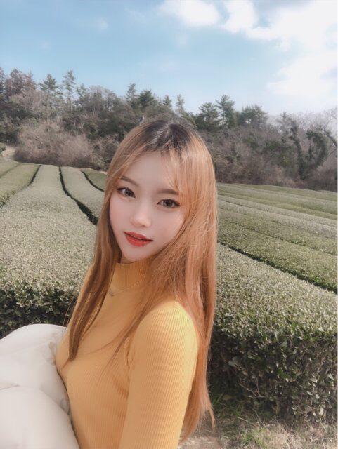 솔아솔아푸르른솔아 프로필