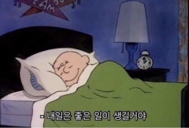 푹신푹신 프로필