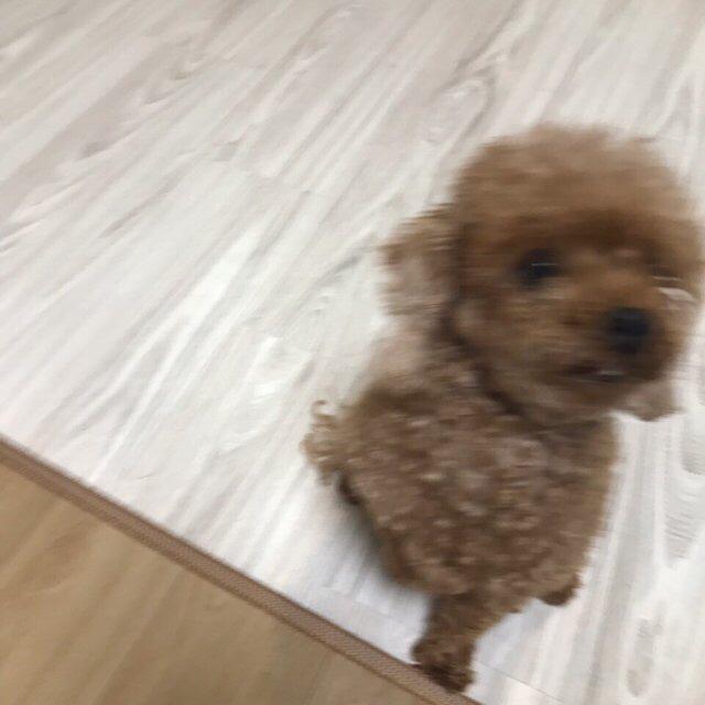 예진쓰! 프로필