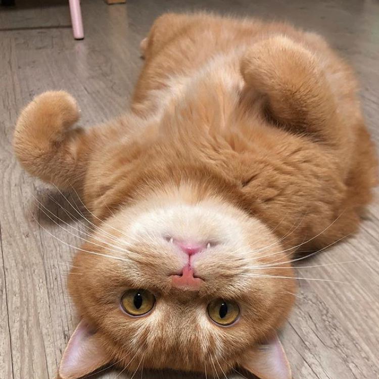 미쓰MIN 프로필