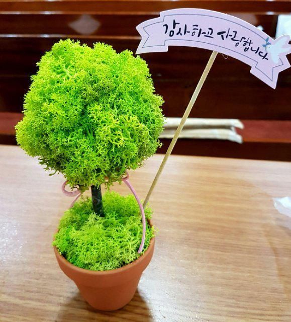 flowerred 프로필