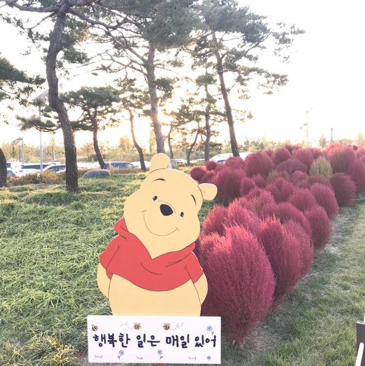 앙마또치 프로필