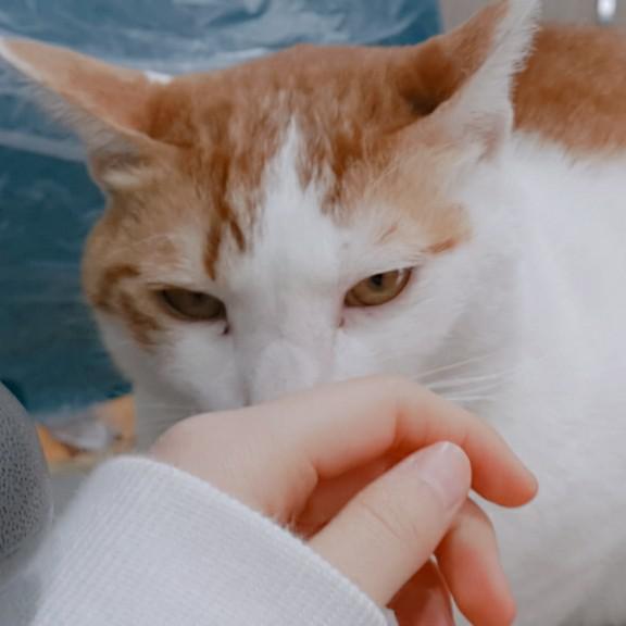 불량인간 프로필