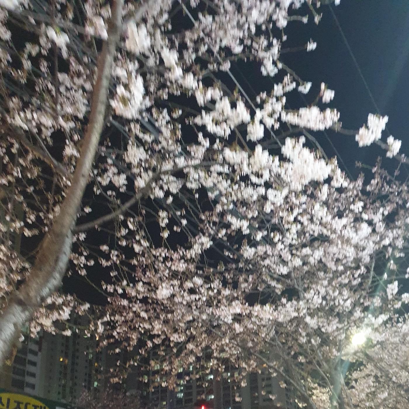 가난한사과 프로필