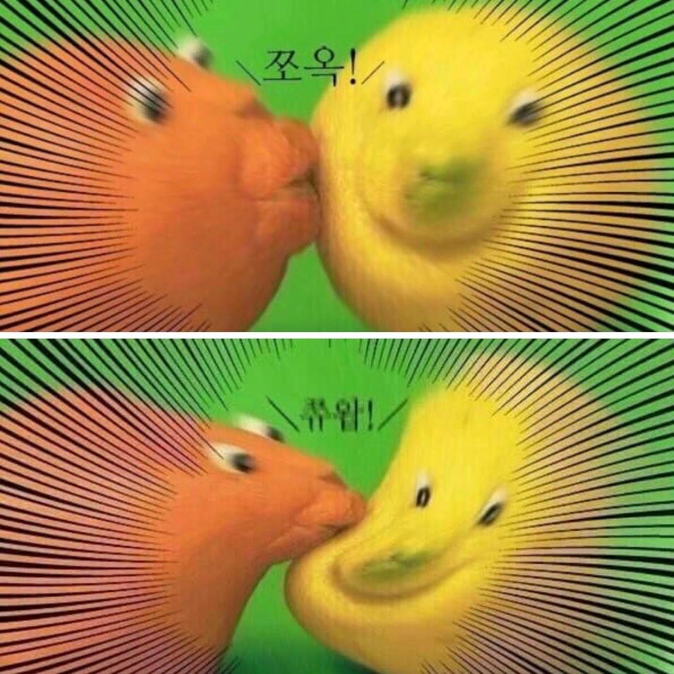 뿐리 프로필