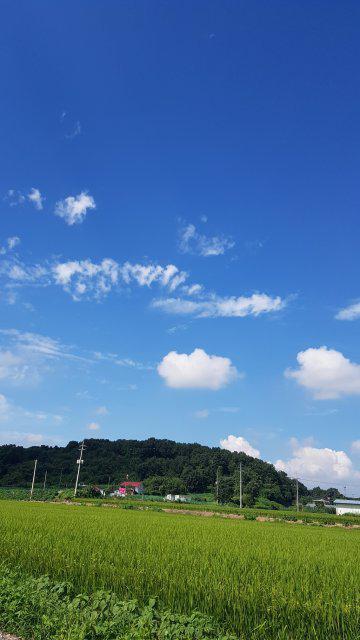 맹지숙 프로필
