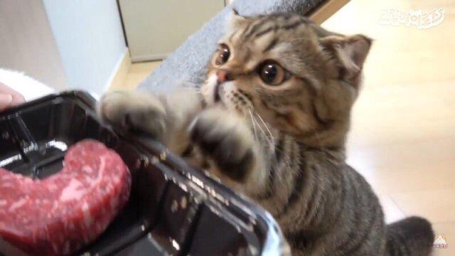 김예본 프로필