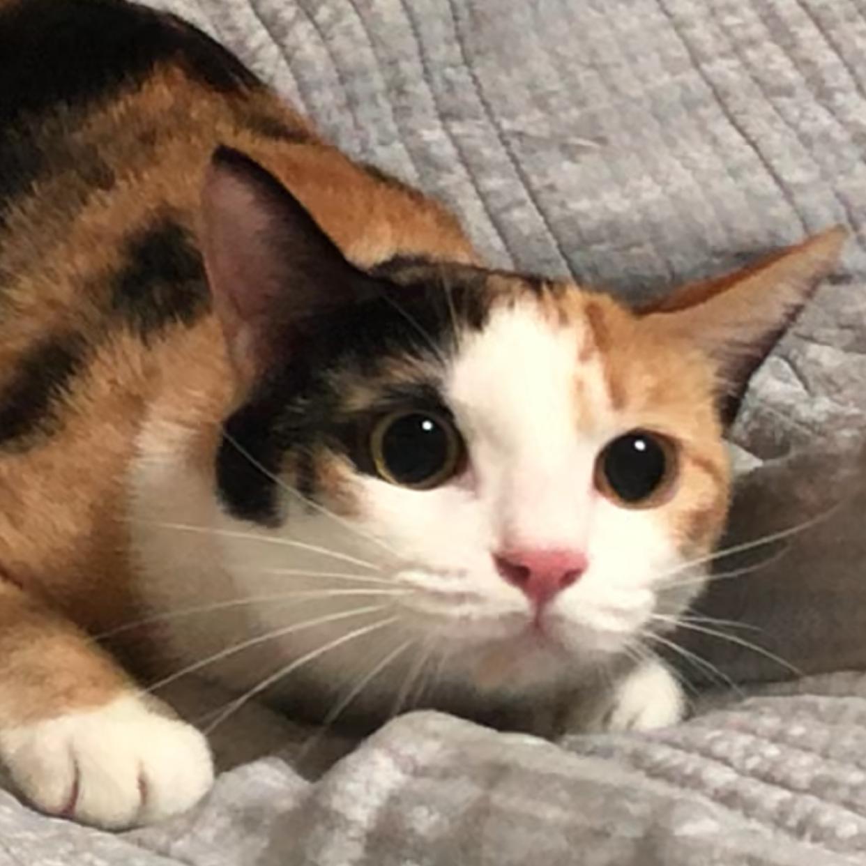 김뽀둥 프로필