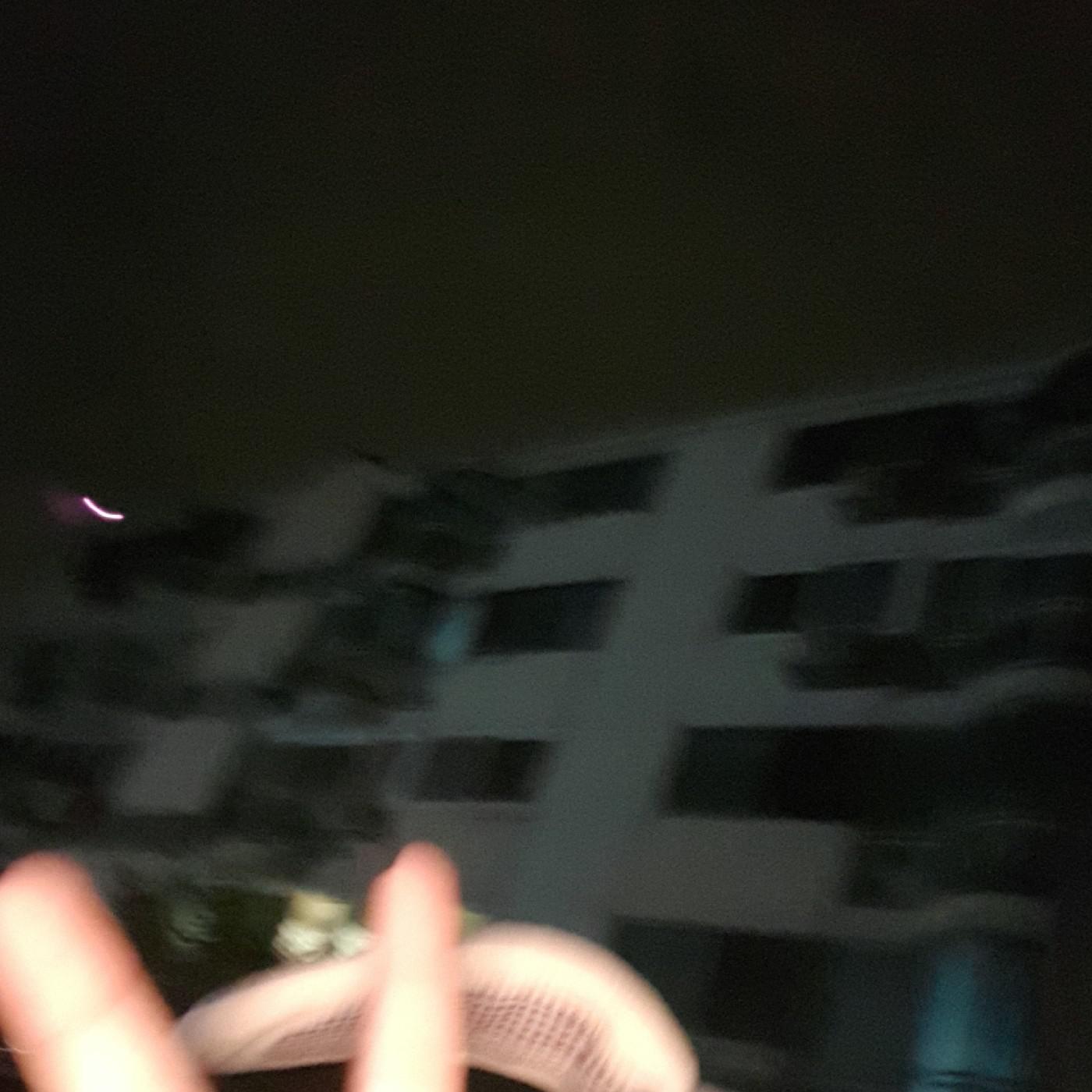 박지아! 프로필