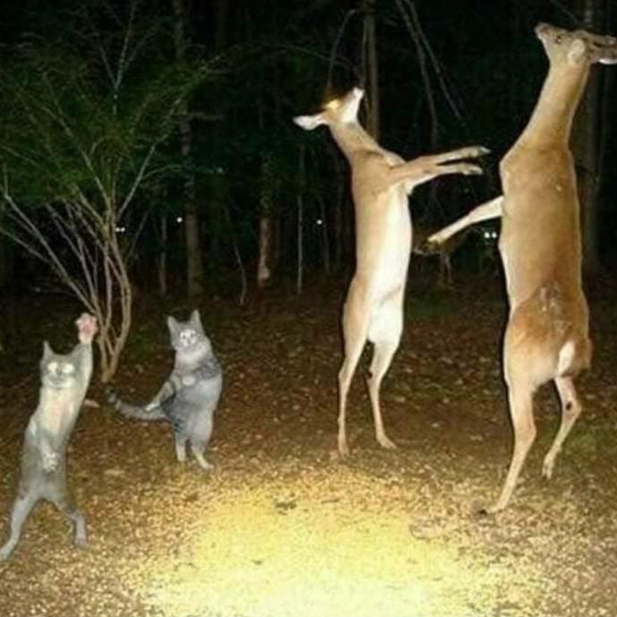 ㅍㅁ 프로필