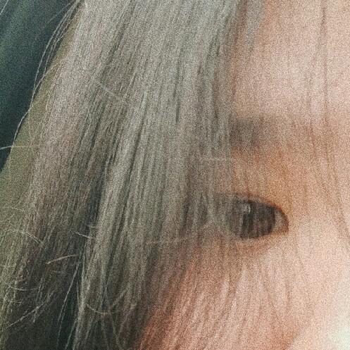 지나(진진) 프로필
