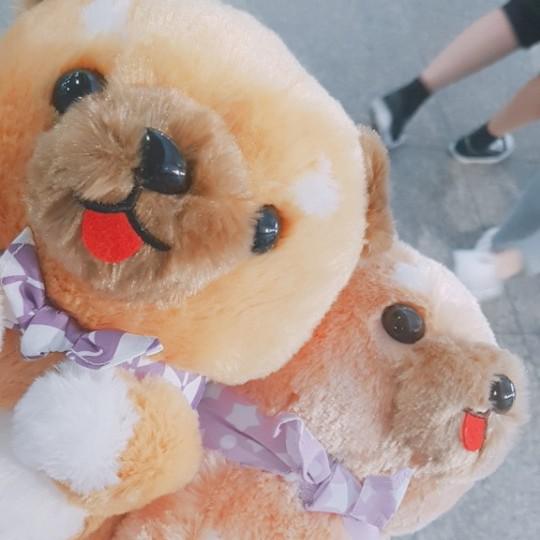jakei 프로필