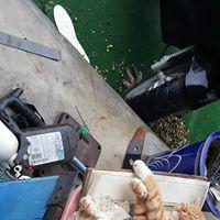 LLL개꿀 프로필