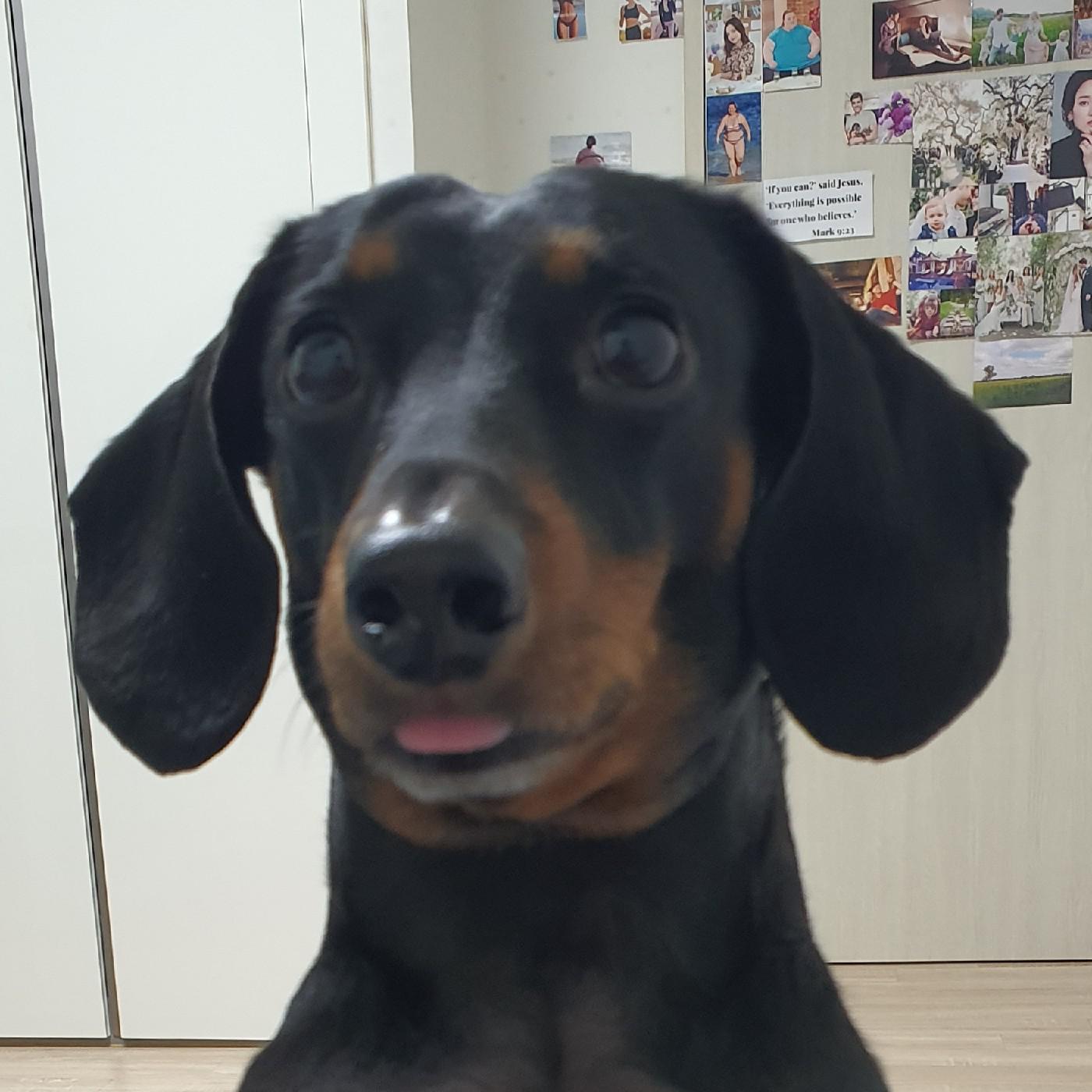 산도누나 프로필