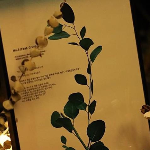 이공오 프로필
