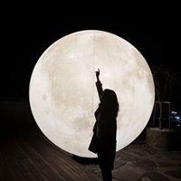 moonlim 프로필