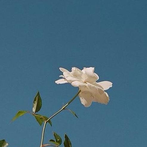 쥬우욱 프로필