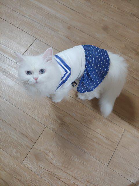 sotree 프로필