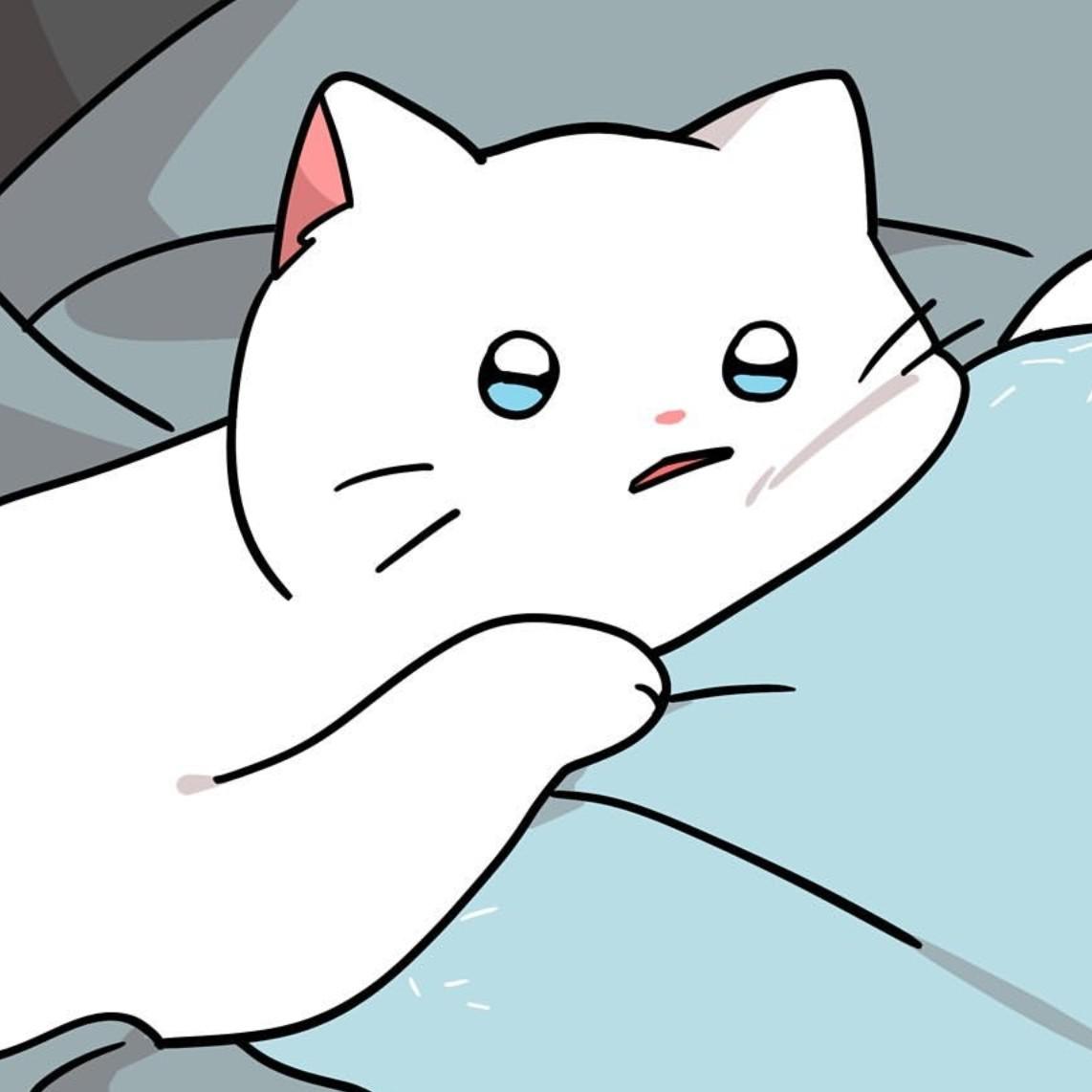 꺌룰 프로필