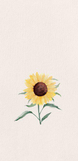 럽미야