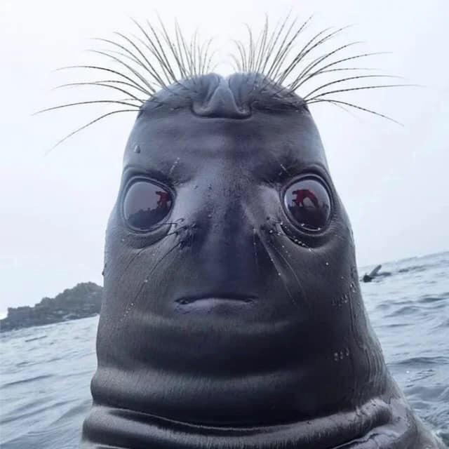 리뷰어 프로필