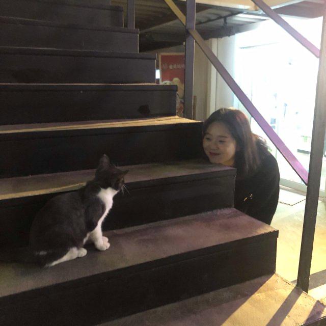 제리제리제리제리 프로필