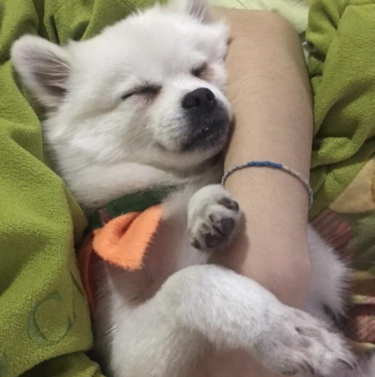 이가빈2 프로필