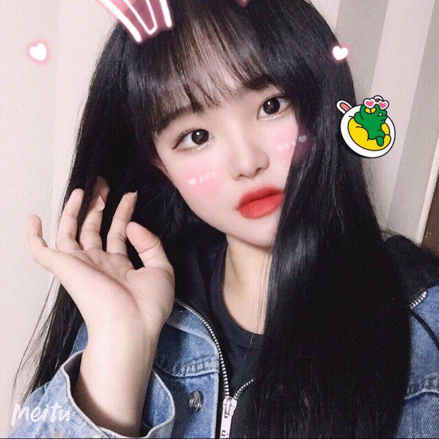뎡니 프로필