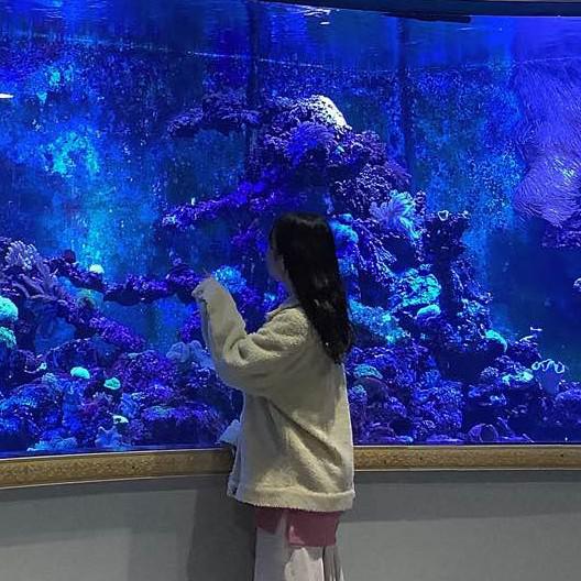 보글보글우유거품 프로필