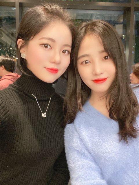 고낙 프로필