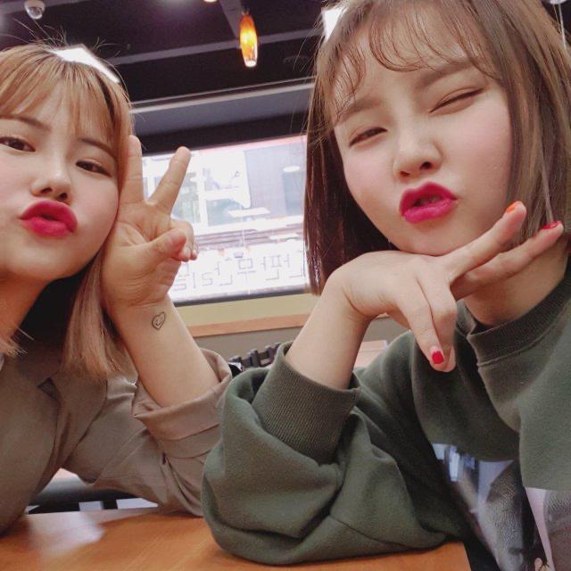 재르미스캇 프로필
