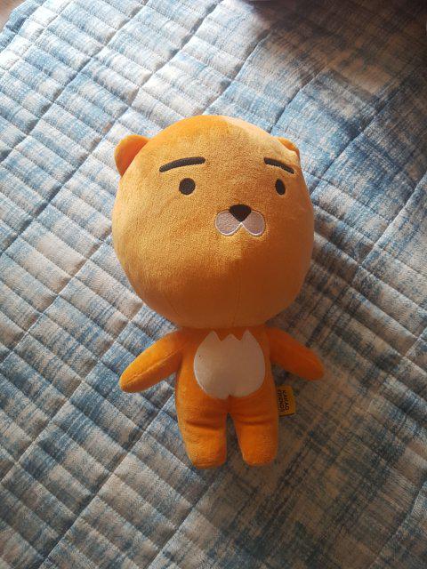 형민쓰 프로필