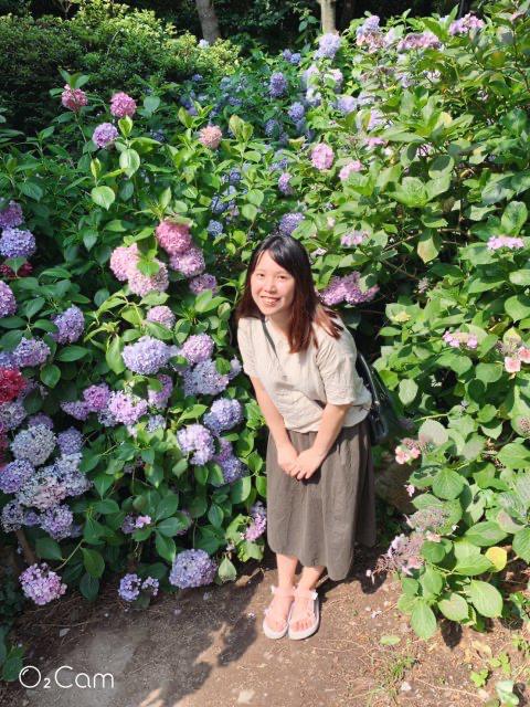 lilyqueen 프로필