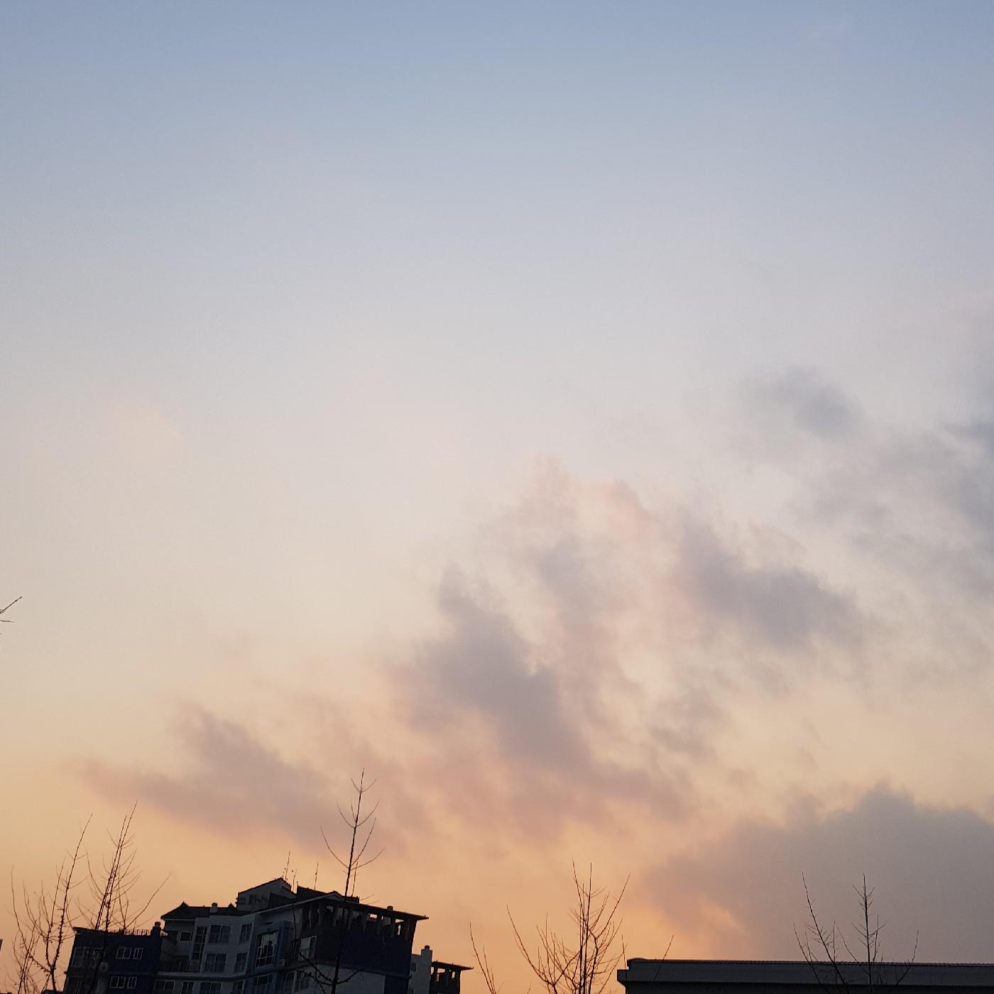 호바기S2 프로필