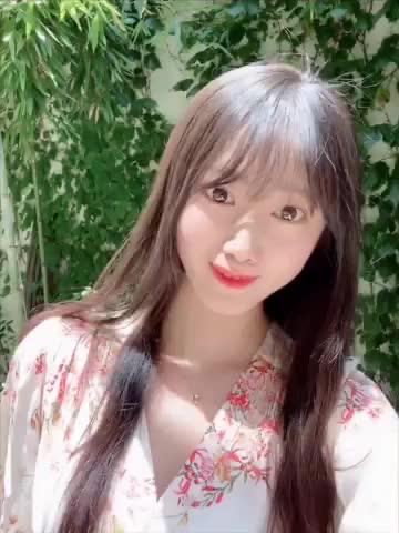 김채아 프로필