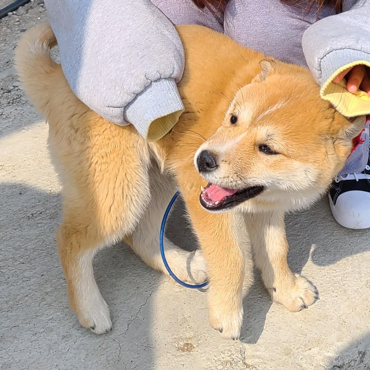 리뷰어 프로필