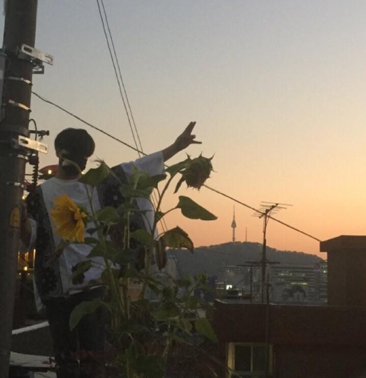 임채언 프로필