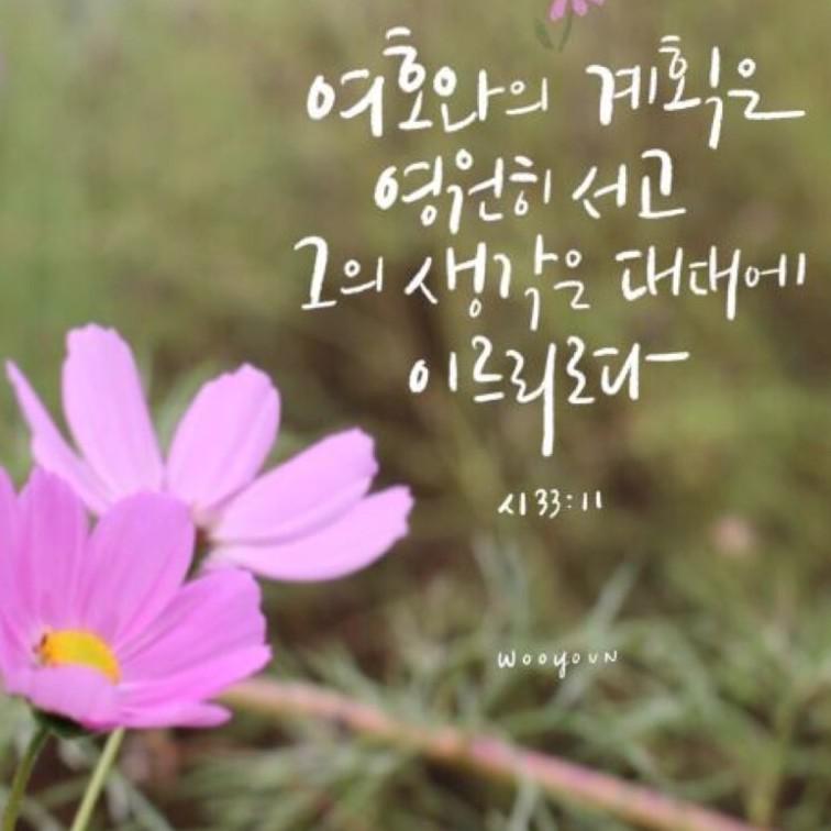 리뷰어 프로필