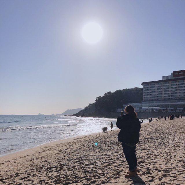 향꼴라 프로필
