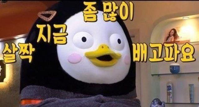 예즌 프로필