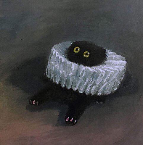 (.-.) 프로필