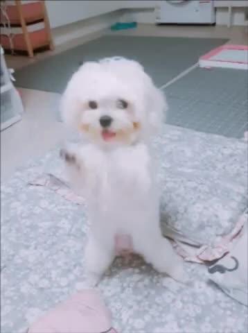 구름짱 프로필