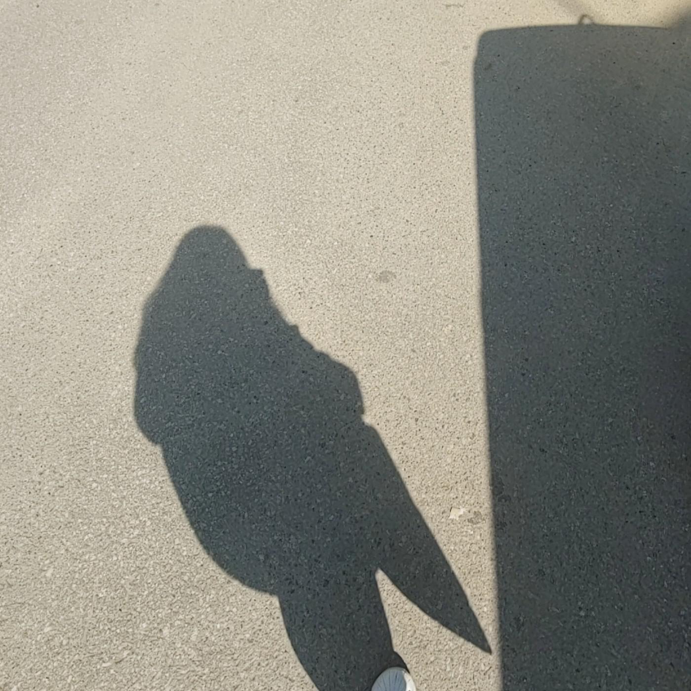 소르으 프로필