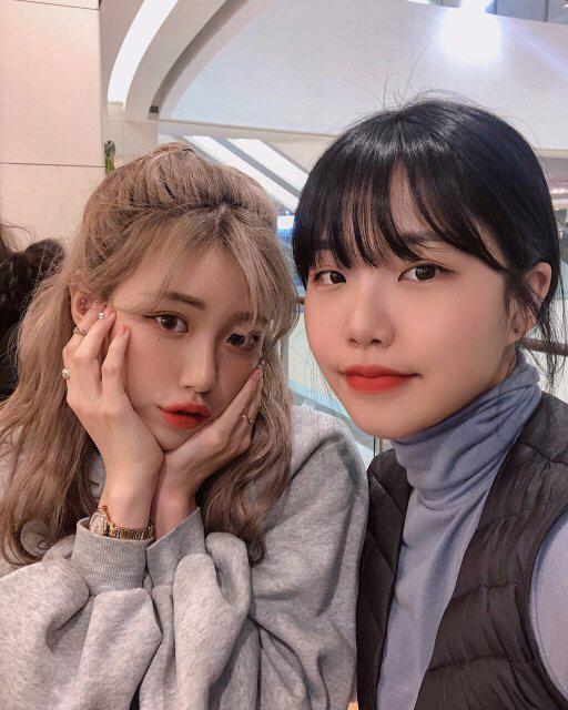 나의고미 프로필