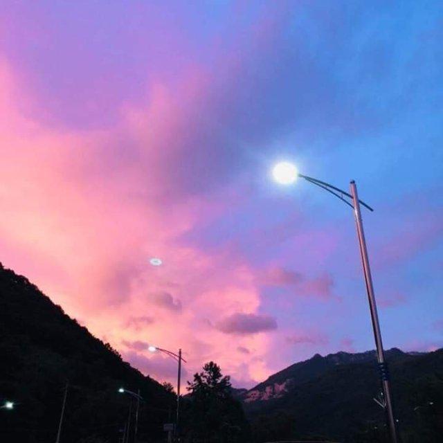 수이민 프로필