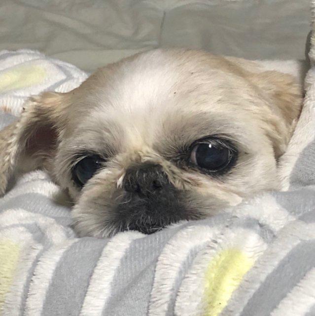 pqpqpqp1 프로필