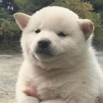 더진한딸기우유 프로필